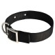 Nylon Dog Collar for Any Weather Walking and Training