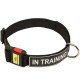 Strong All Weather Nylon Dog Collar with Patches and Quick Release Buckle