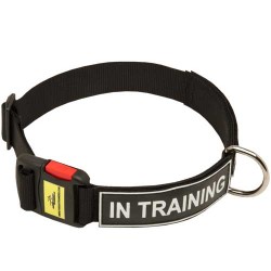 Strong All Weather Nylon Dog Collar with Patches and Quick Release Buckle